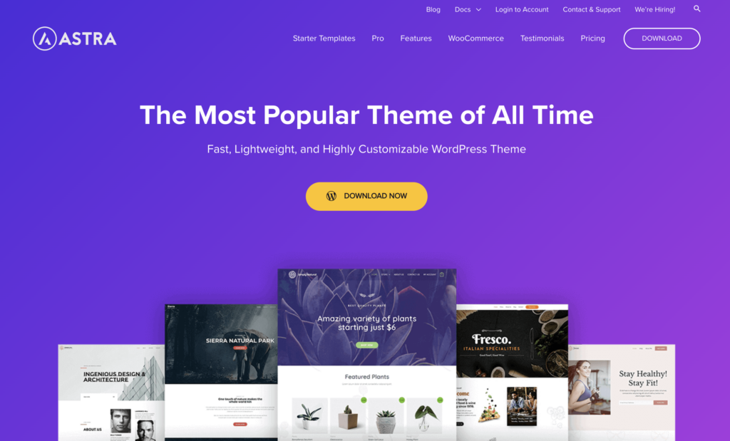 Astra-fastest-wordpress-themes